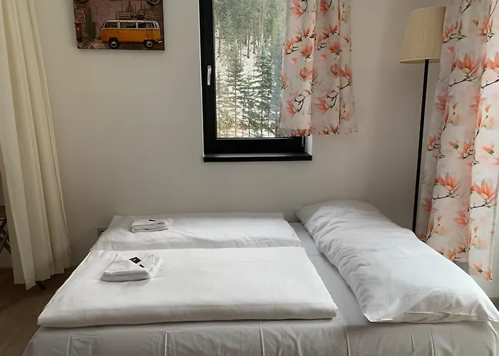 Anetta Herlikovice - 45m2 With Balkony And Wellness - Near Cable Car To Hill Zaly And Slope Apartman