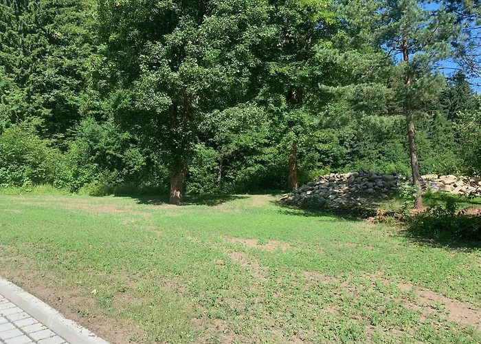 Anetta Herlikovice - 45m2 With Balkony And Wellness - Near Cable Car To Hill Zaly And Slope Apartman Vrchlabí
